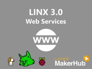 LINX 3.0 – 07 | Web Services