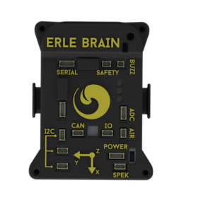Erle-Brain