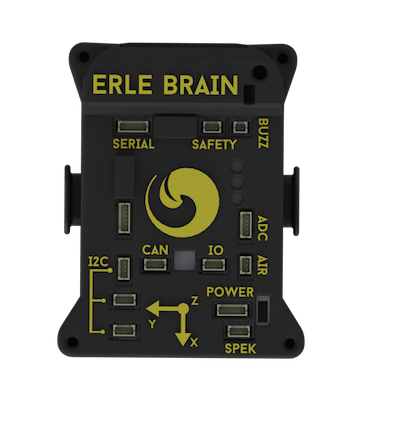 Erle-Brain
